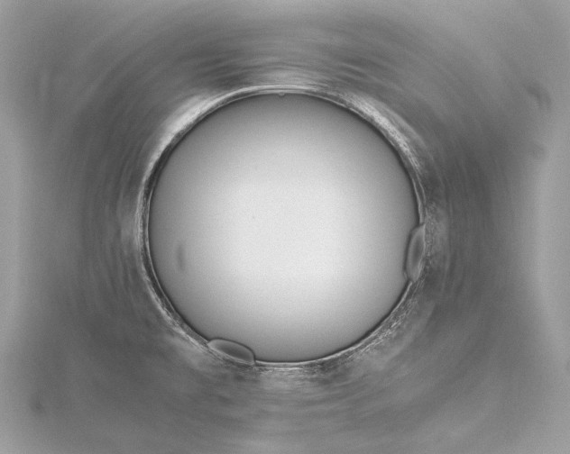 X0000115541477200911201730