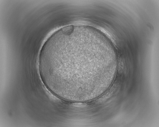 X0000115541478200911201730