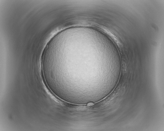 X0000115541479200911201729