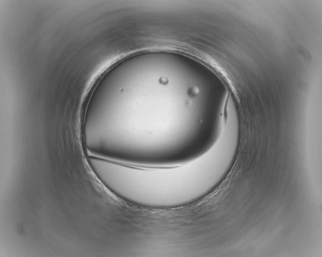 X0000115541480200911201729