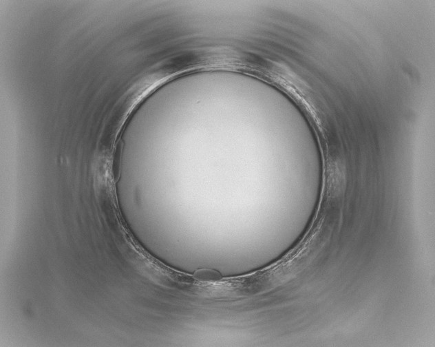 X0000115541481200911201729