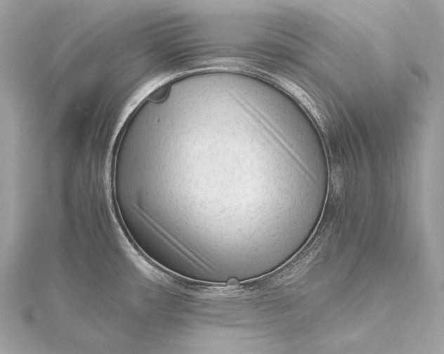 X0000115541482200911201729