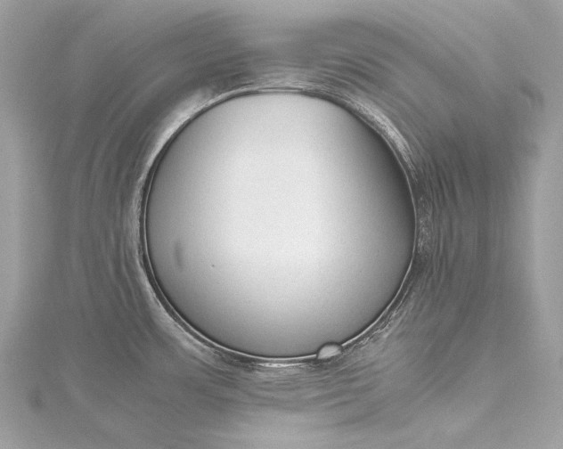 X0000115541483200911201729