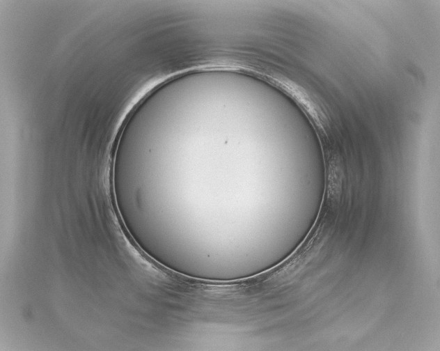 X0000115541484200911201729