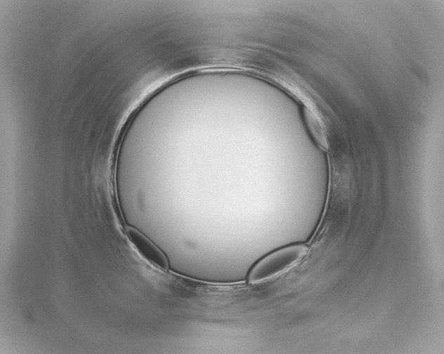 X0000115541485200911201729