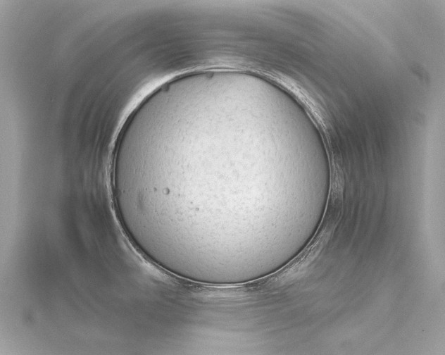 X0000115541486200911201729