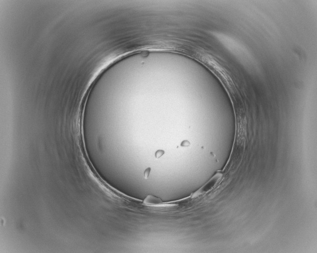 X0000115541487200911201729