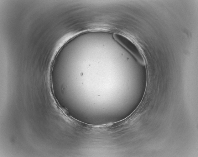 X0000115541488200911201729