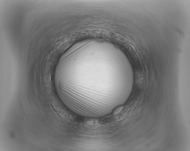 X0000115541489200911201729