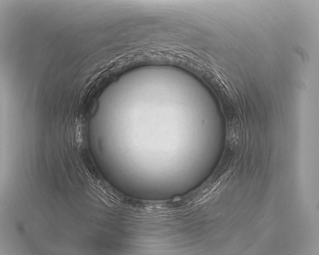 X0000115541490200911201729