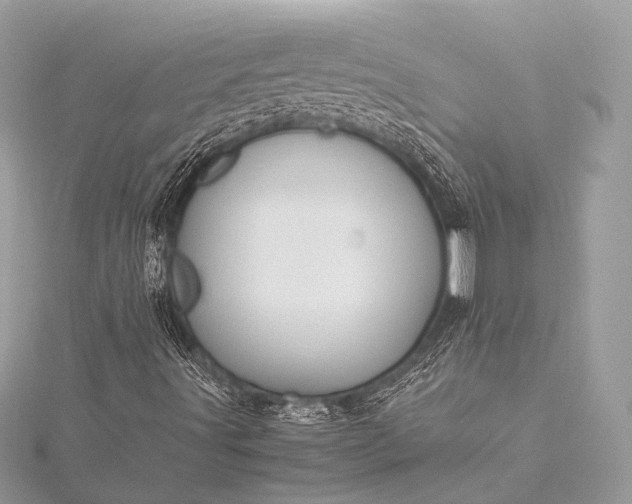 X0000115541491200911201729