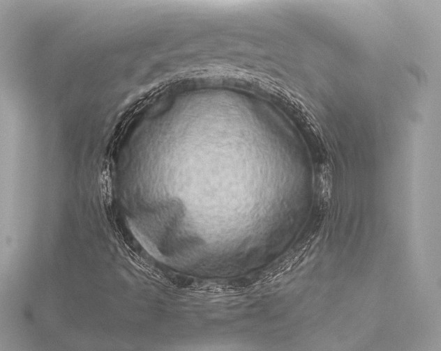 X0000115541493200911201729