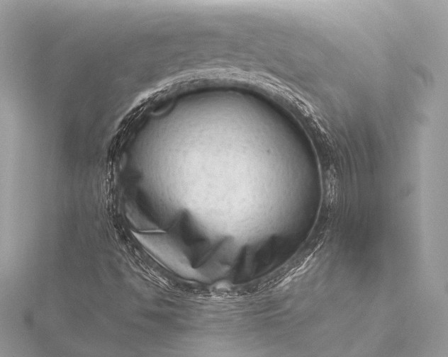 X0000115541494200911201729