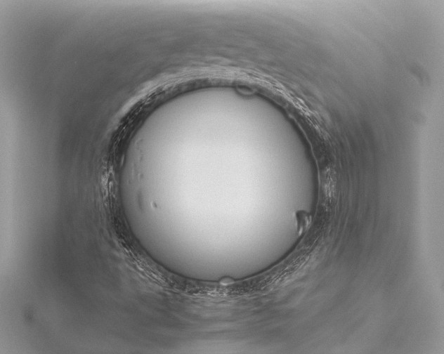 X0000115541495200911201729