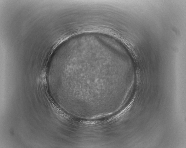 X0000115541497200911201729