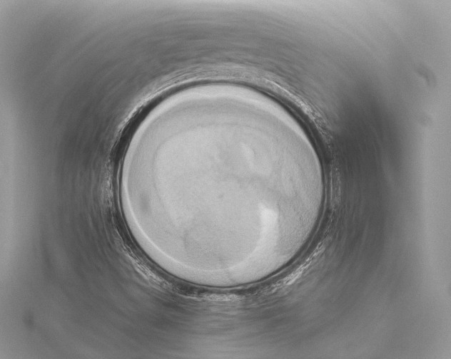 X0000115541498200911201729