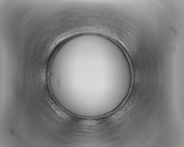 X0000115541499200911201729