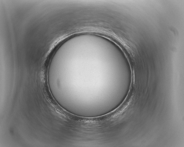 X0000115541501200911201729