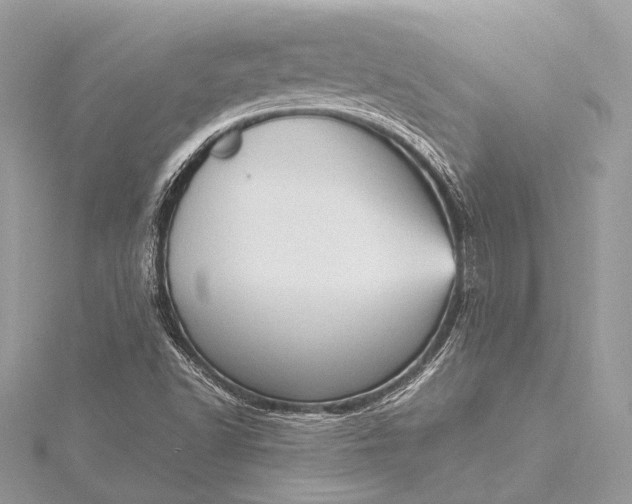 X0000115541502200911201729