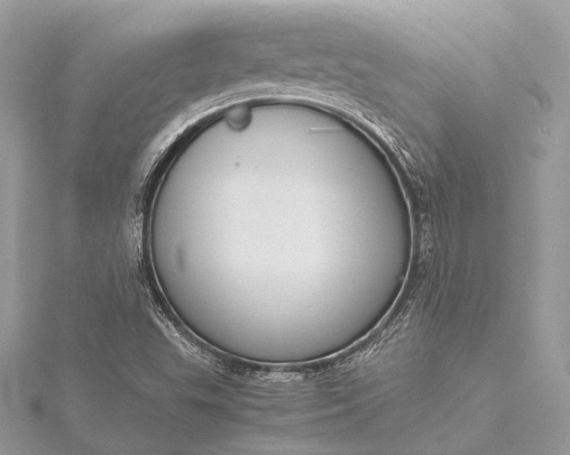 X0000115541503200911201729