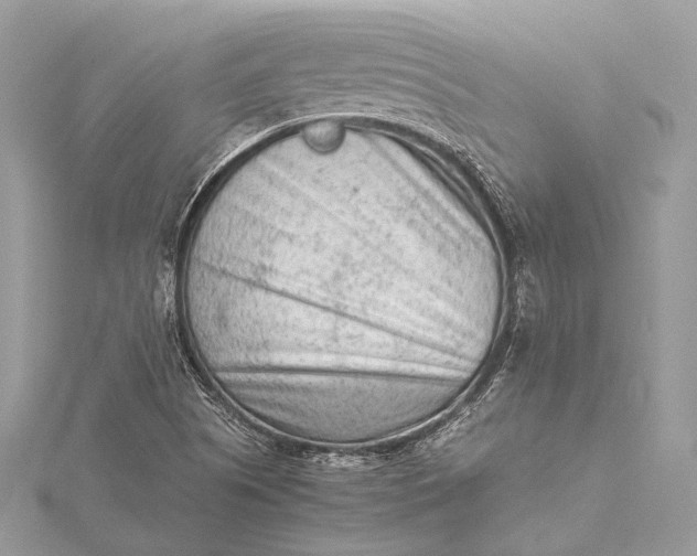 X0000115541505200911201729