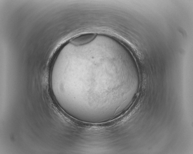 X0000115541506200911201729