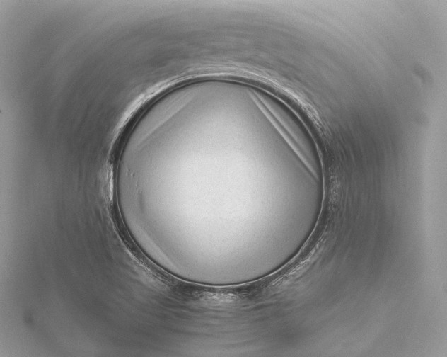 X0000115541509200911201729