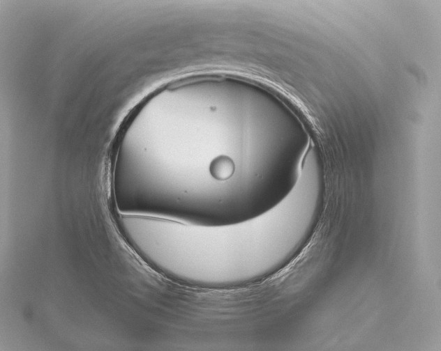 X0000115541510200911201729