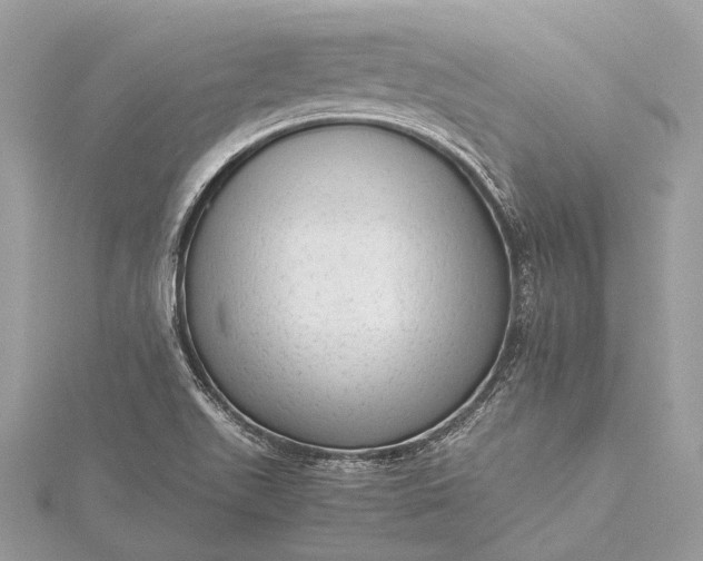 X0000115541511200911201729