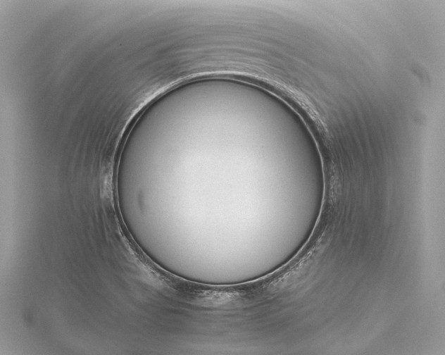 X0000115541513200911201729