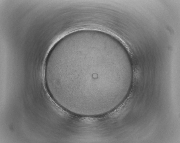 X0000115541514200911201729