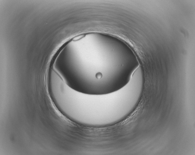 X0000115541515200911201729