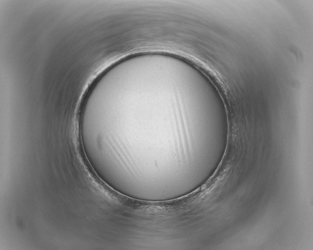 X0000115541517200911201729