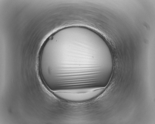 X0000115541518200911201729