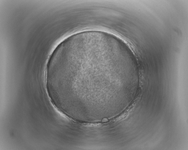 X0000115541519200911201729