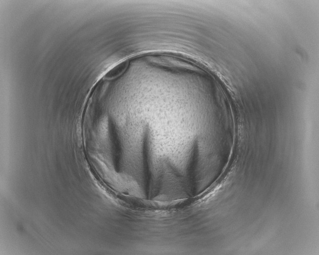 X0000115541521200911201729