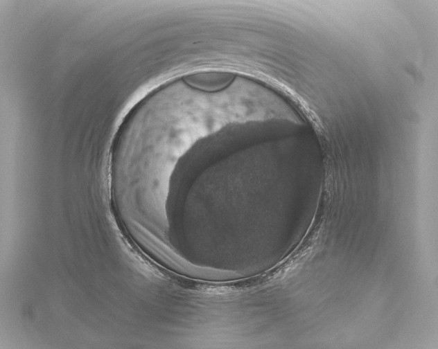 X0000115541522200911201729