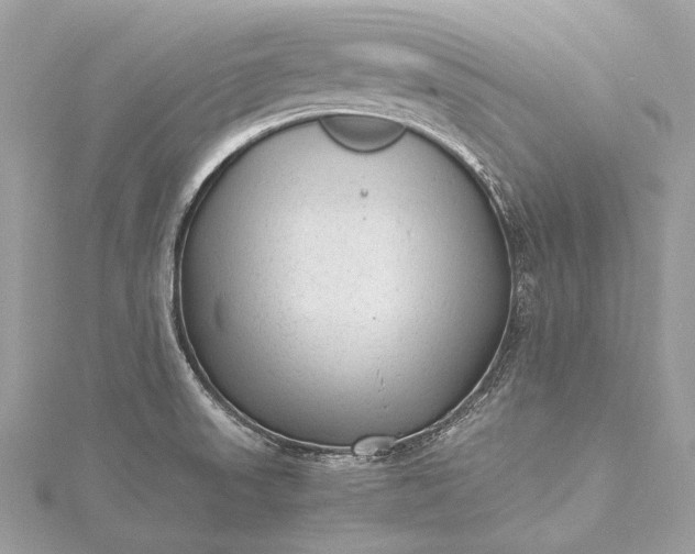 X0000115541523200911201729