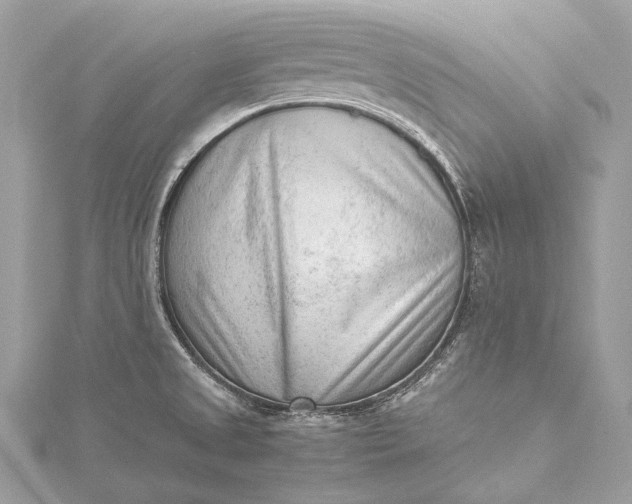 X0000115541525200911201729