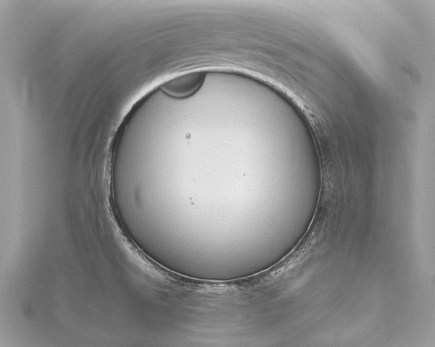 X0000115541526200911201729