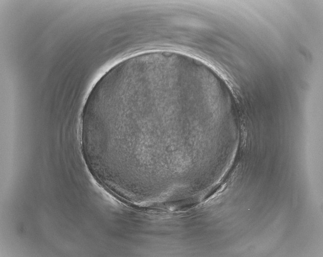 X0000115541527200911201729