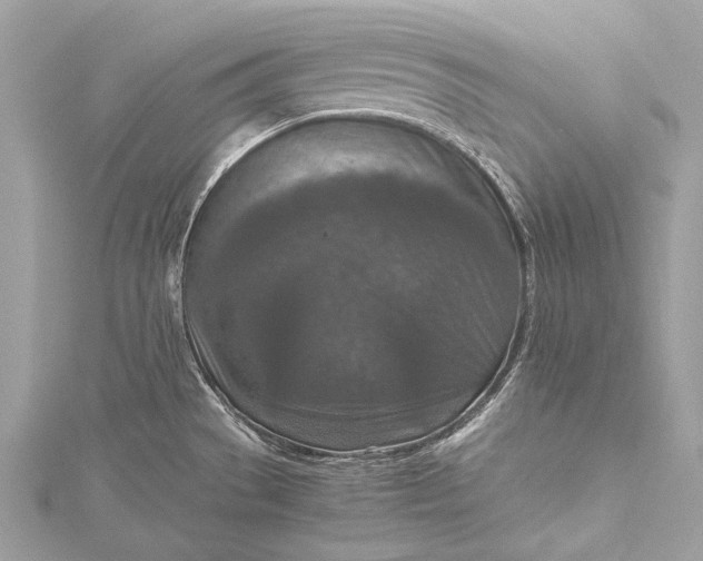 X0000115541529200911201729