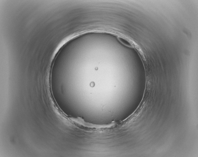 X0000115541530200911201729