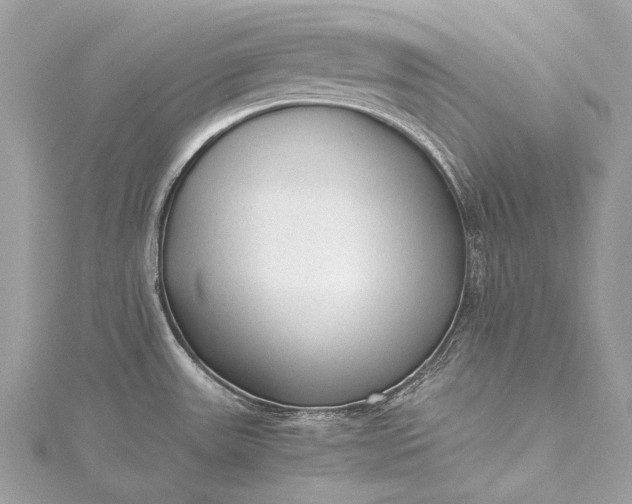 X0000115541531200911201729