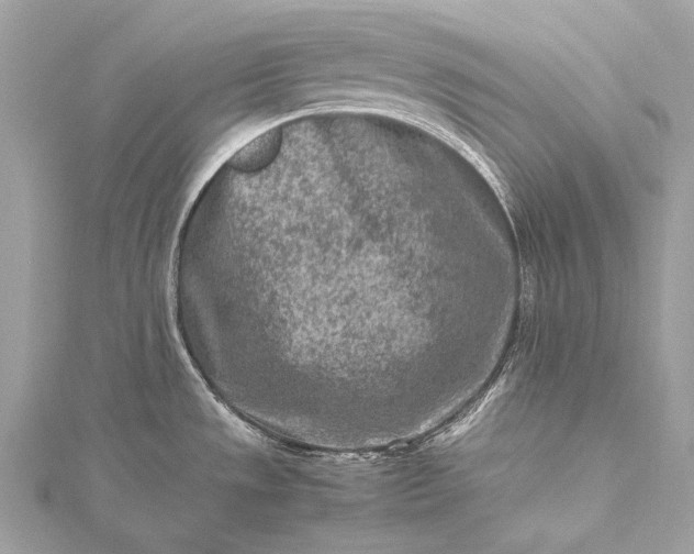 X0000115541533200911201729