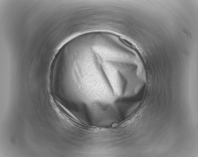 X0000115541534200911201729