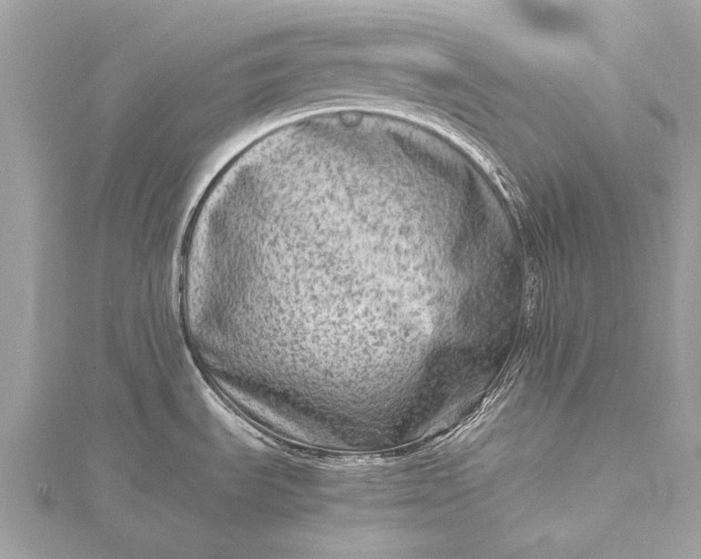 X0000115541535200911201729