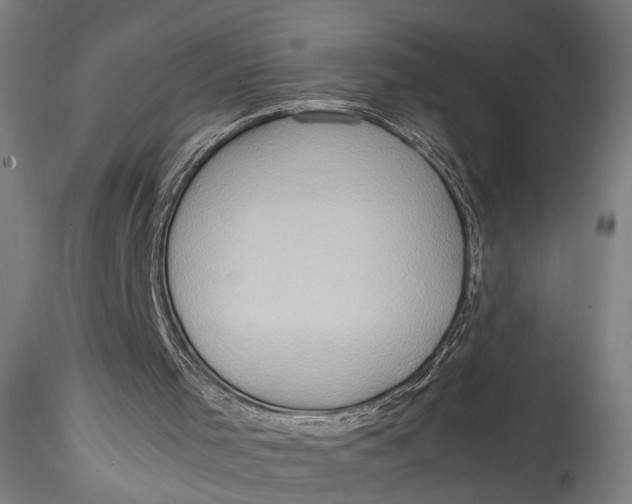 X0000115540001200911271421