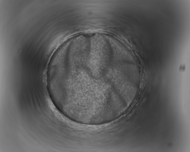 X0000115540002200911271421