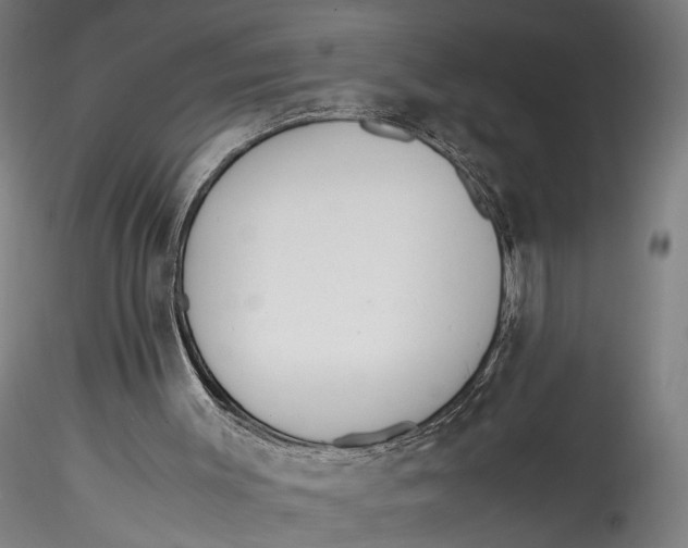 X0000115540003200911271421